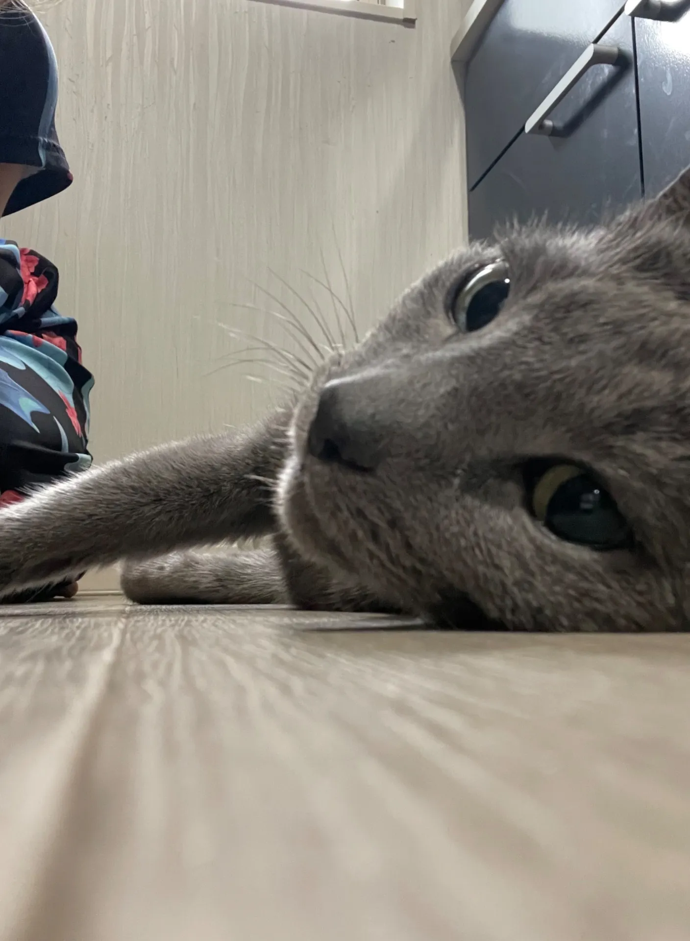 明日はアリーナ　REEJAM&ZUMBAです